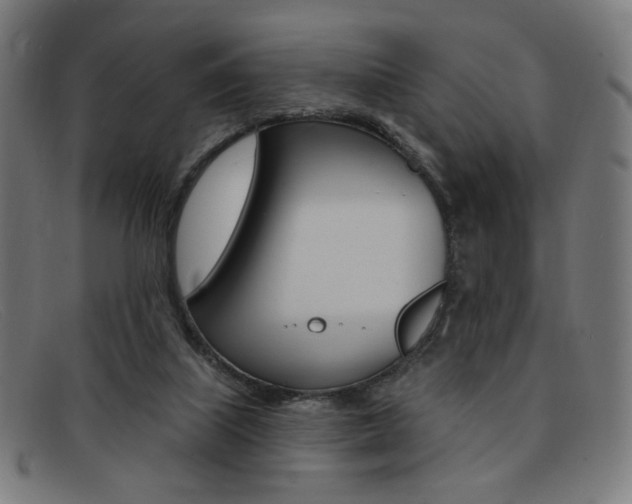 X0000092110067200709121137