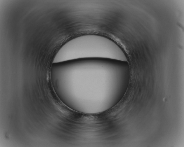 X0000092110069200709121137