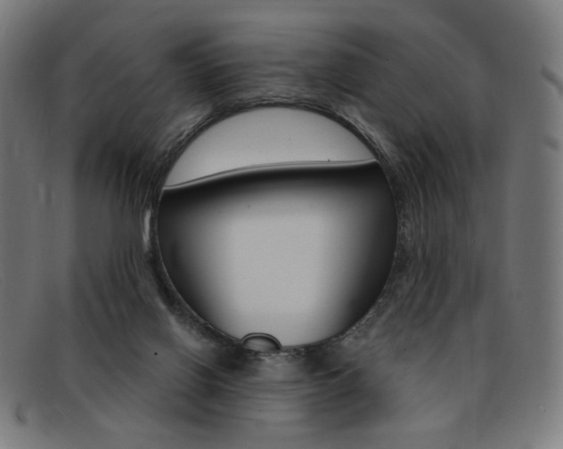 X0000092110070200709121137