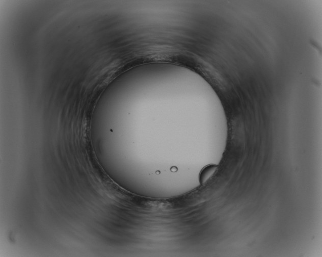 X0000092110073200709121137