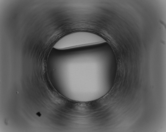 X0000092110074200709121137