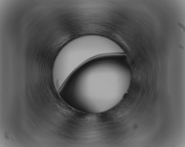 X0000092110076200709121137