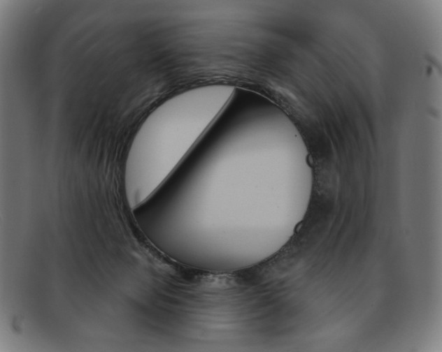 X0000092110077200709121137