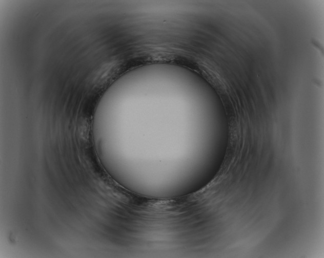 X0000092110078200709121137