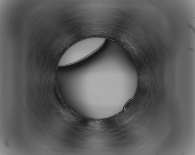 X0000092110079200709121137