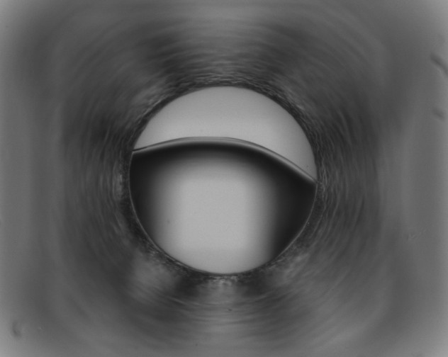 X0000092110080200709121137