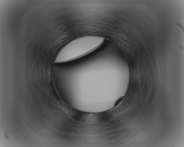 X0000092110082200709121137