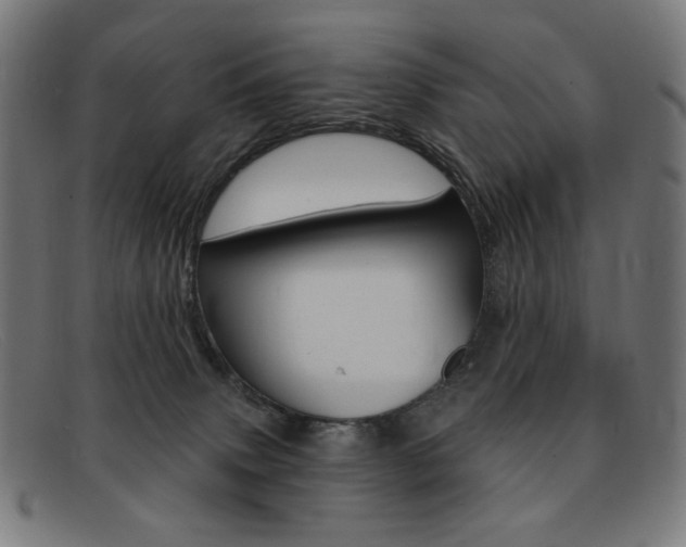 X0000092110083200709121137