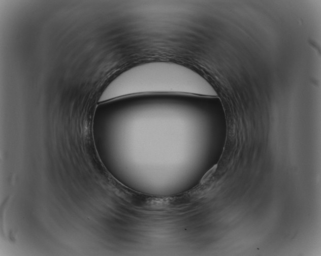 X0000092110084200709121137