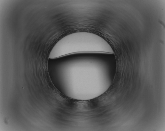 X0000092110085200709121137