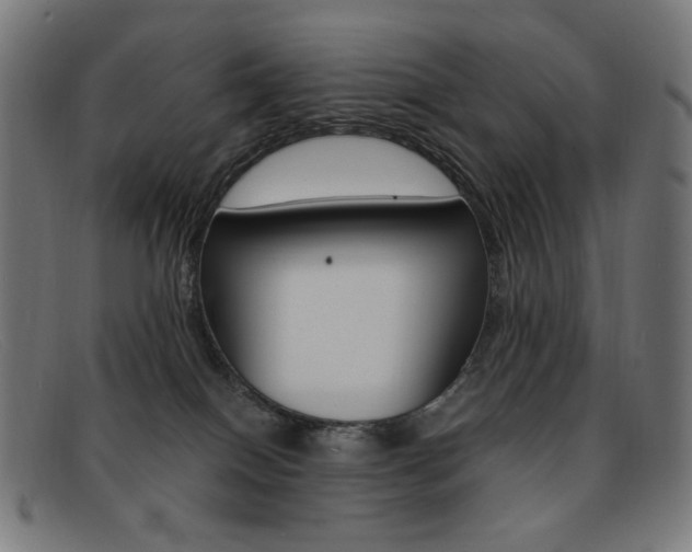X0000092110086200709121137