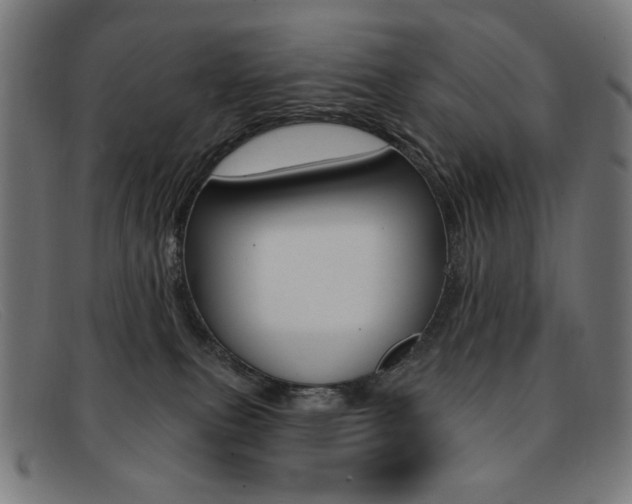 X0000092110087200709121137
