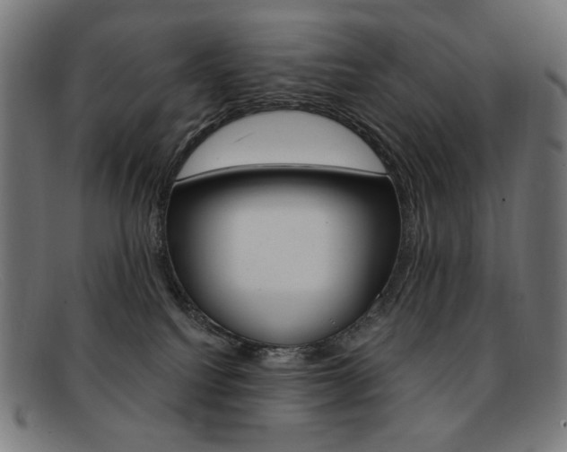 X0000092110088200709121137