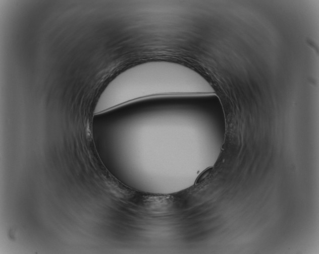 X0000092110089200709121137