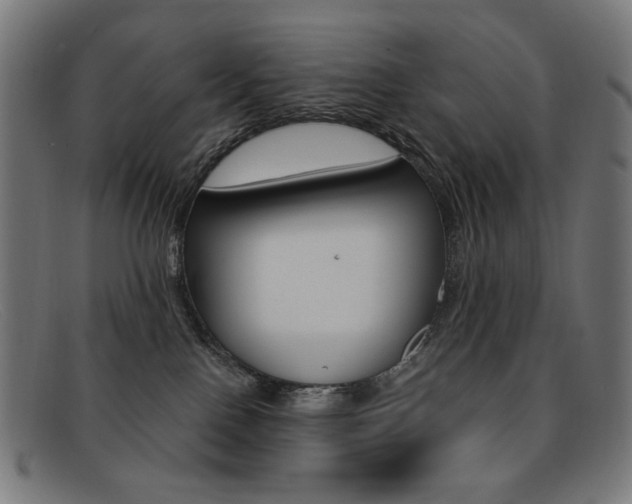 X0000092110090200709121137