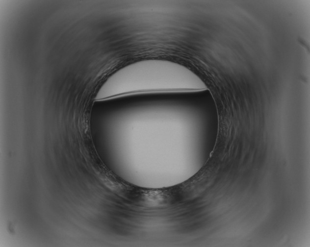 X0000092110091200709121137