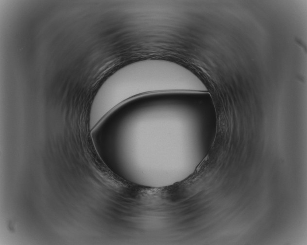 X0000092110092200709121137