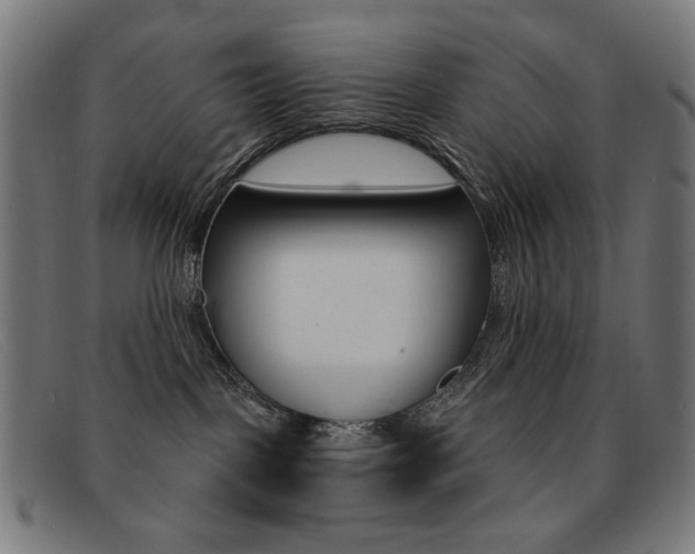 X0000092110093200709121137