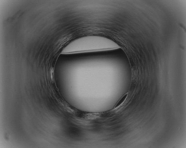 X0000092110094200709121137