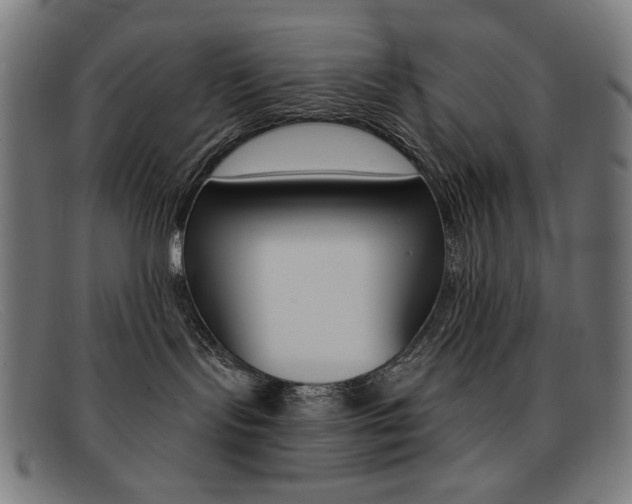 X0000092110095200709121137