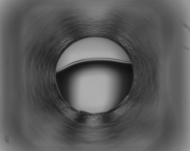 X0000092110096200709121138
