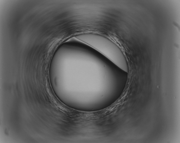 X0000092110097200709121137