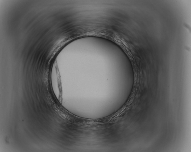 X0000092110098200709121137