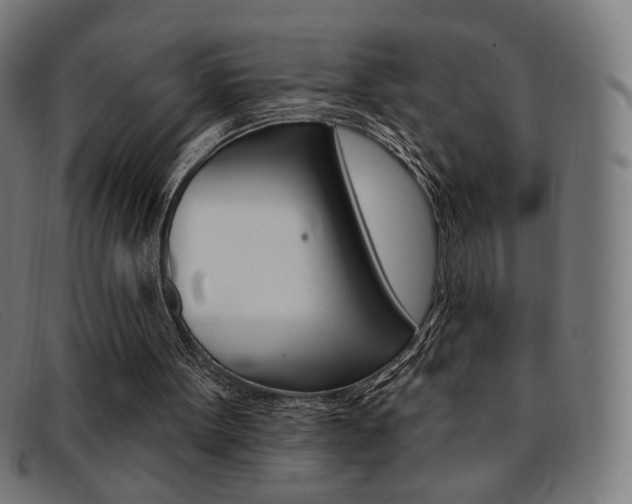 X0000092110099200709121137