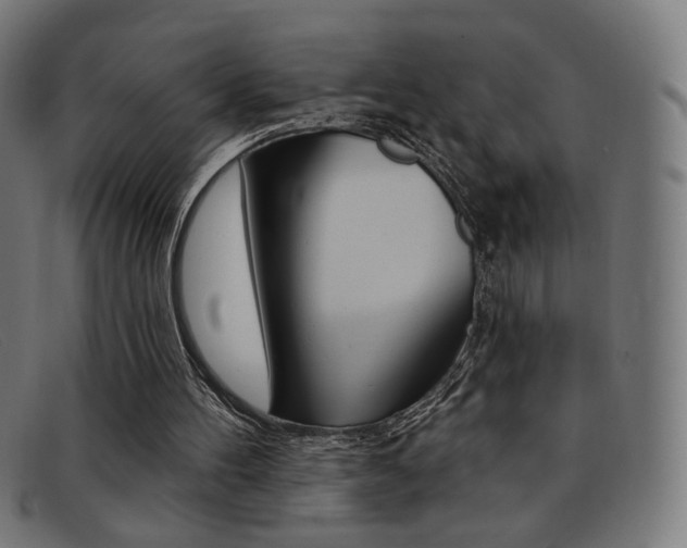 X0000092110100200709121137