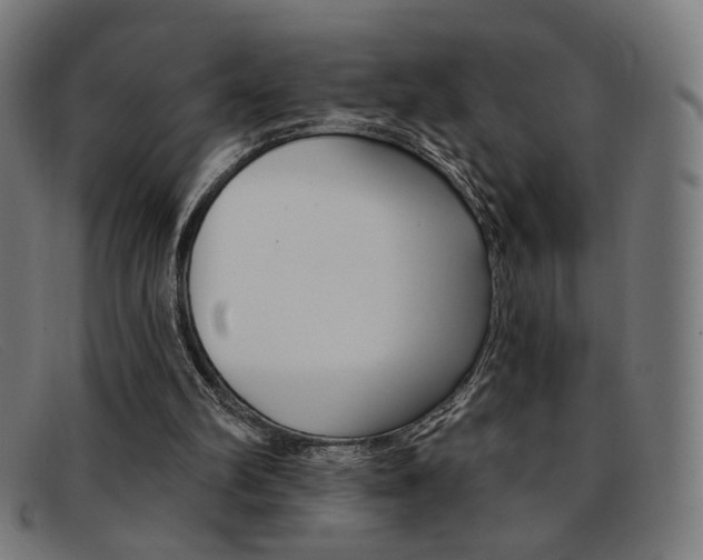 X0000092110102200709121137