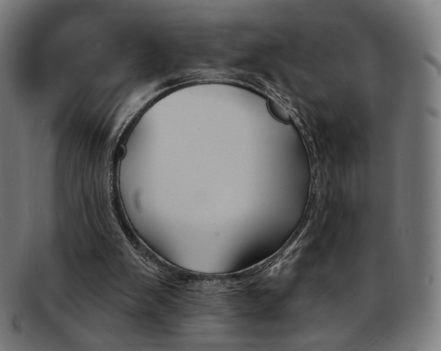 X0000092110103200709121137