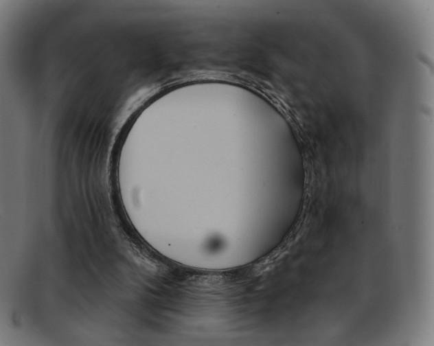 X0000092110104200709121137