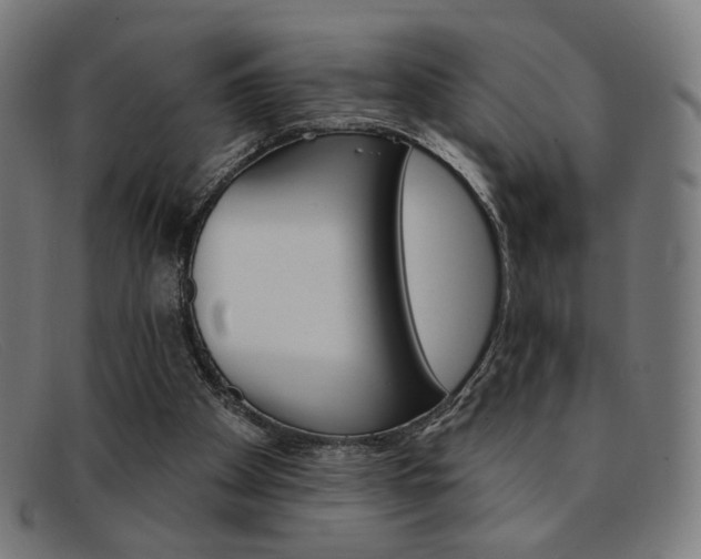 X0000092110105200709121137