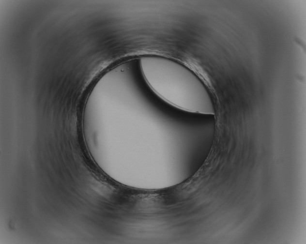 X0000092110108200709121137