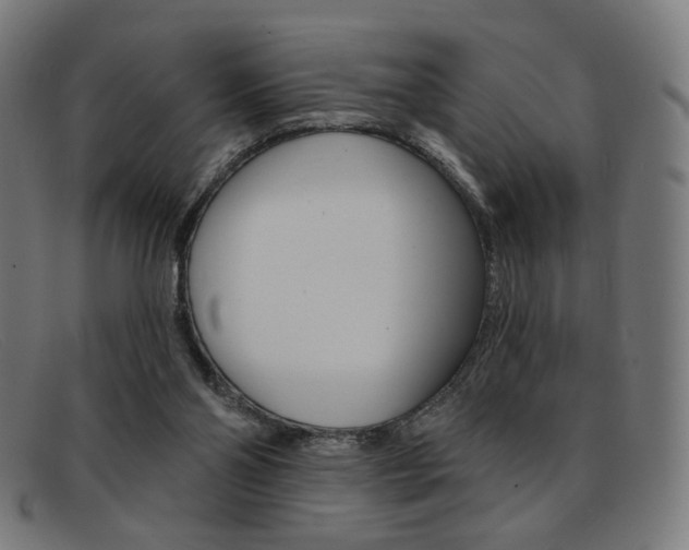 X0000092110110200709121137
