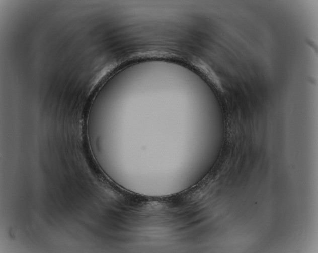 X0000092110111200709121137