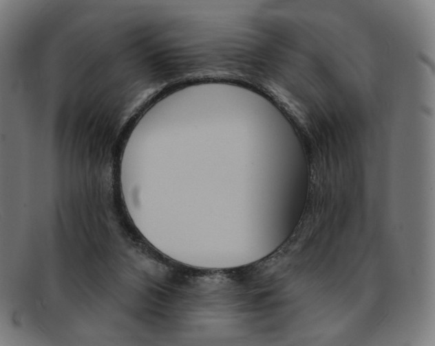 X0000092110112200709121137