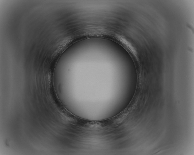 X0000092110113200709121137