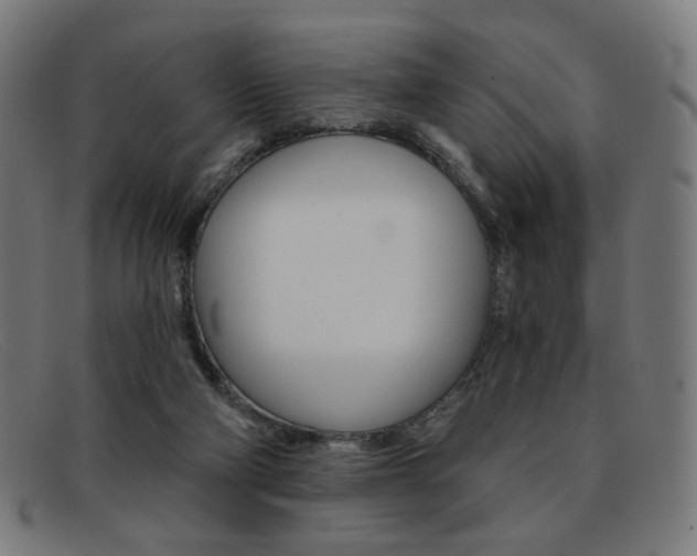 X0000092110114200709121137