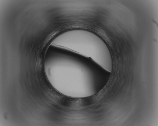 X0000092110116200709121137
