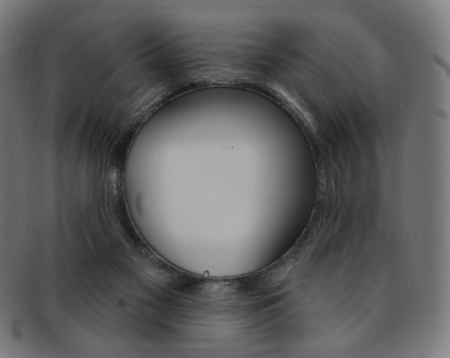 X0000092110117200709121137