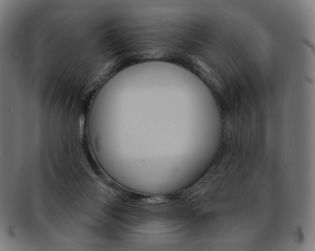 X0000092110118200709121137