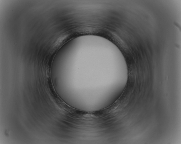 X0000092110119200709121137