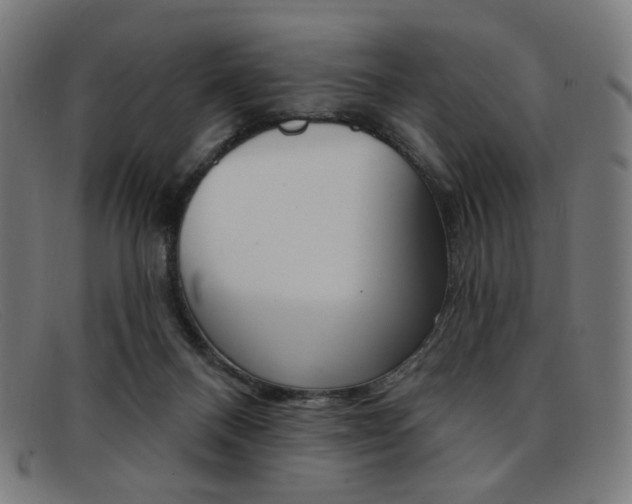 X0000092110120200709121137