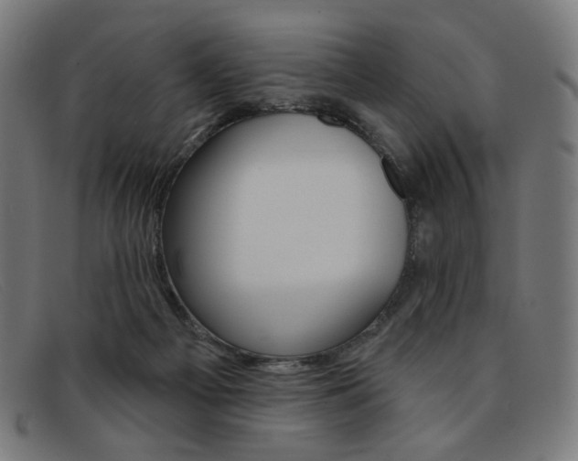 X0000092110121200709121137