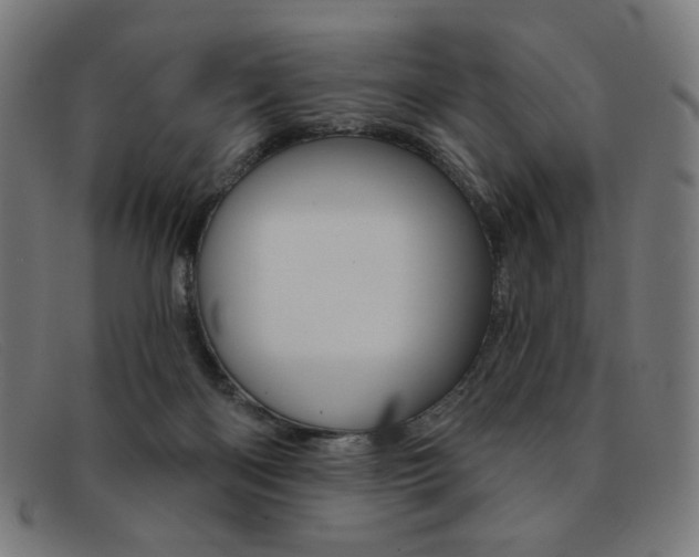 X0000092110122200709121137