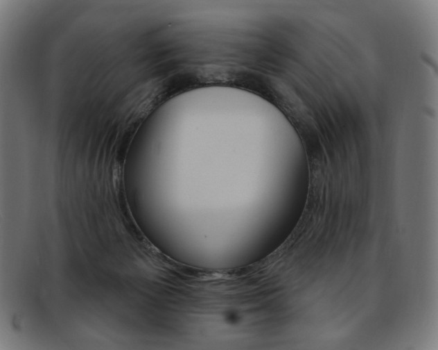 X0000092110125200709121137