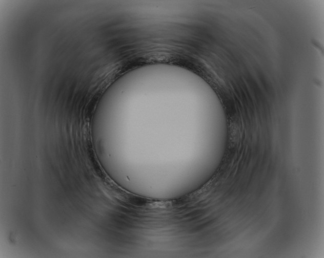 X0000092110126200709121137