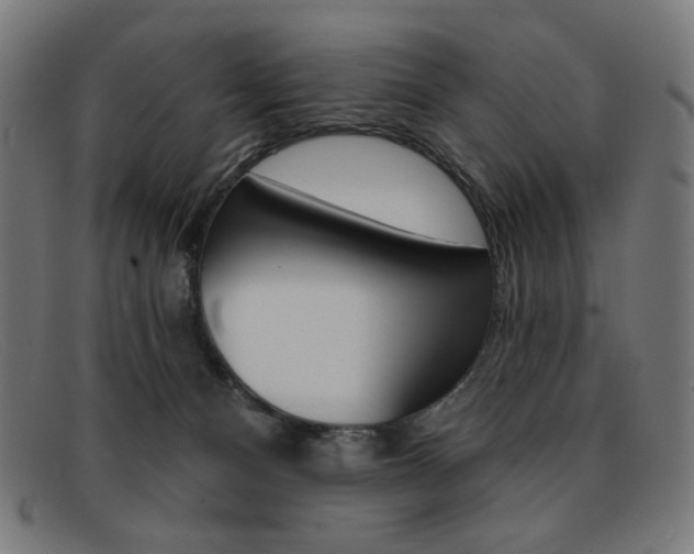 X0000092110128200709121137
