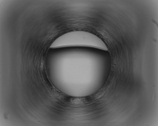 X0000092110129200709121137